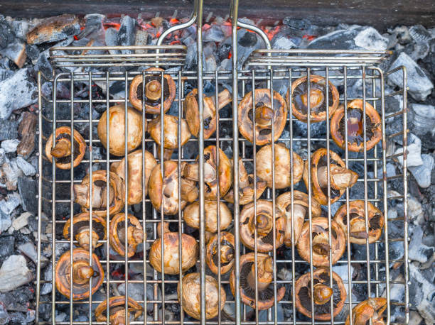 Picnic with fried mushrooms on the grill.