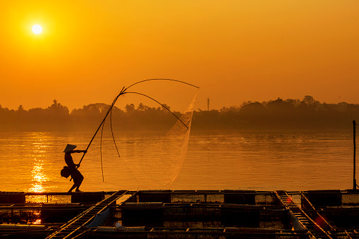 Asian men are using nets to fish in the Mekong River. Fishermen raising nile tilapia, floating cages on the Mekong River. Nongkhai, Thailand.