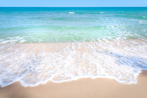 istock Sea wave on beach with white sand, nature background 1311924719