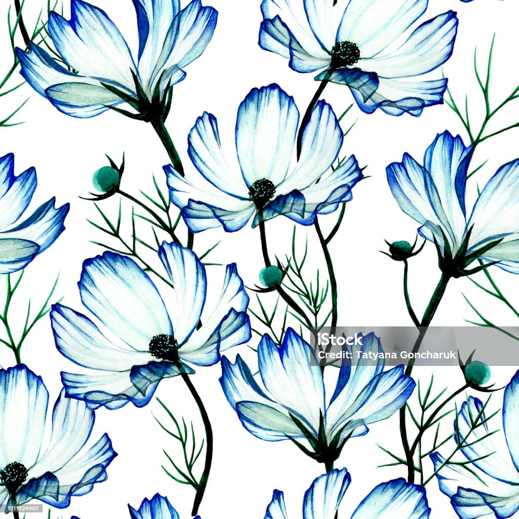 Ilustración de Patrón Sin Costuras De Acuarela Con Flores Azules  Transparentes De Manzanilla Cosmia Flores Silvestres Azules Sobre Un Fondo  Blanco Impresión Para Tela Fondo De Pantalla Envoltorios y más Vectores  Libres