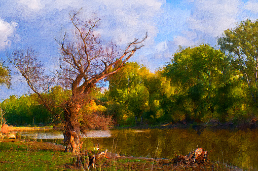 Oil landscape painting showing river and forest on a sunny spring day.