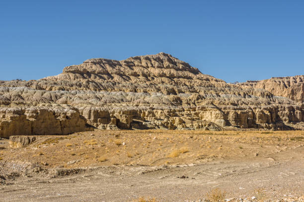Eroded landscape and rock towers in Zanda soil forest