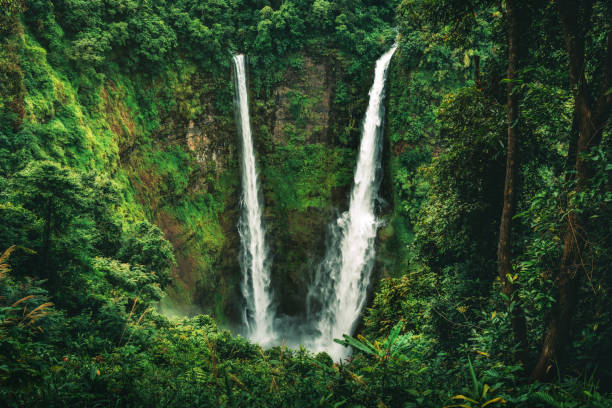 istock Tad Fan waterfall in Champasak Laos 1311932577
