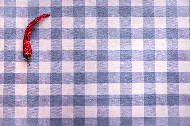 Plaid material. Red and blue cage clothes background