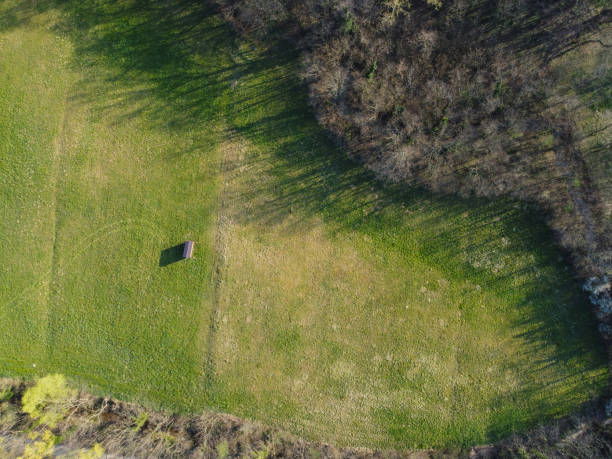 istock Apiary on the Edge of Clearing on Sempasko Field 1311935156