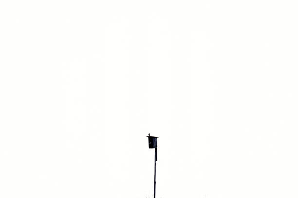 Black wooden birdhouse on white sky background