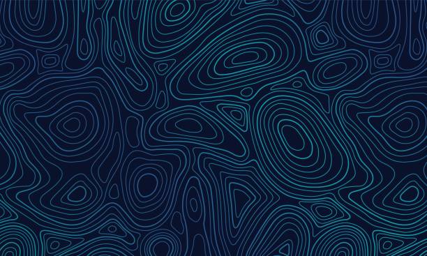 istock Topographic contour map. Topography wavy pattern of landscape relief. Hiking land area line scheme, cartography terrain grid vector texture 1311945617
