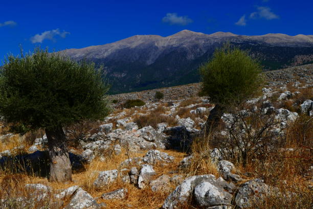 istock Landscape towards Anapoli 1311947902