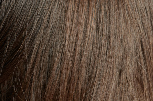 istock Dark brown straight hair 1311948207