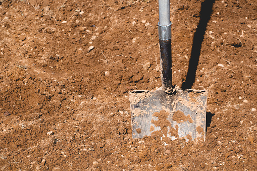 Full size shovel in freshly dug up soil or earth.