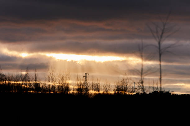 Orange colorful sunset with dark trees and power line silhouette. Rural evening landscape, blurred.