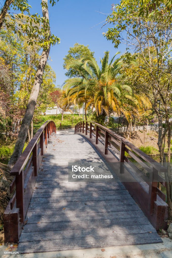 Jembatan kaki di taman Parque Infante Dom Pedro di Aveiro, Portug - Bebas Royalti Air Foto Stok Jembatan kaki di taman Parque Infante Dom Pedro di Aveiro, Portug - Bebas Royalti Air Foto Stok
