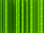 Green bamboo stick pattern background