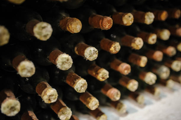 istock Wine bottles stacked up in old wine cellar 1311955736