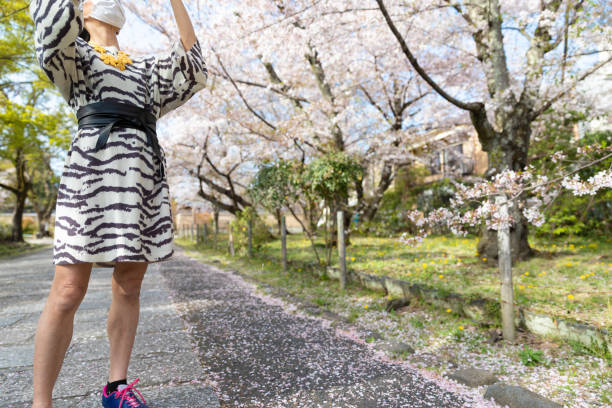 istock Japanese woman enjoying cherry bloosms 1311957634