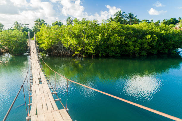 pont suspendu au-dessus de fleuve de rio miel près de baracoa, cu - baracoa photos et images de collection