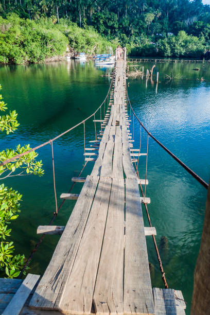 pont suspendu au-dessus de fleuve de rio miel près de baracoa, cu - baracoa photos et images de collection