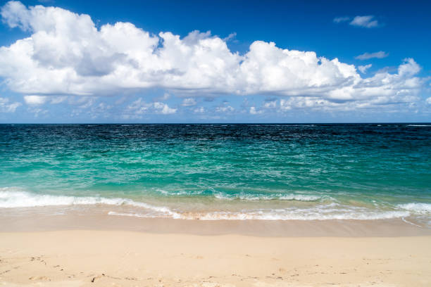 istock Playa Maguana beach near Baracoa, Cu 1311958227