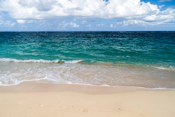 istock Playa Maguana beach near Baracoa, Cu 1311958230