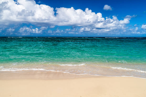 istock Playa Maguana beach near Baracoa, Cu 1311958239