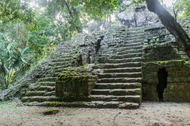 istock Ruins at the archaelogical site Tikal, Guatema 1311958295