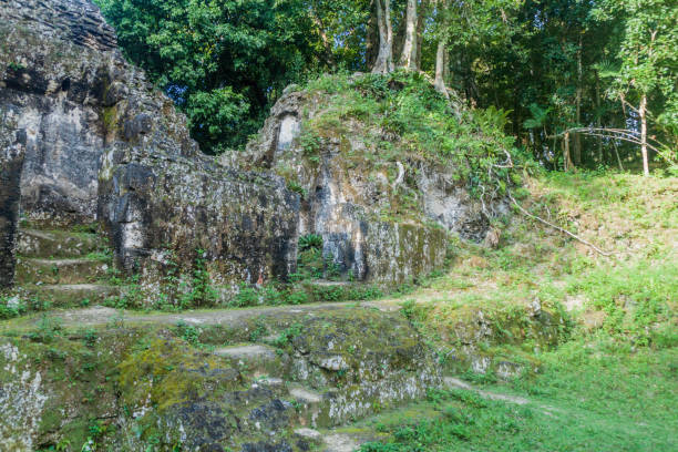 istock Ruins at the archaeological site Tikal, Guatema 1311958340