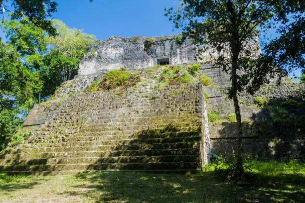 istock Complex P at the archaeological site Tikal, Guatema 1311958349
