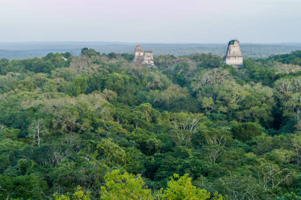 istock Temples at the archaelogical site Tikal, Guatema 1311958362