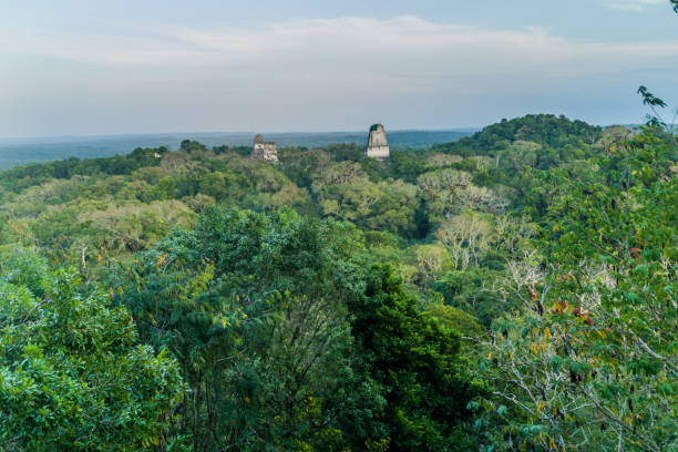 istock Temples at the archaelogical site Tikal, Guatema 1311958402