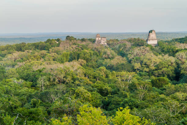 istock Temples at the archaelogical site Tikal, Guatema 1311958406