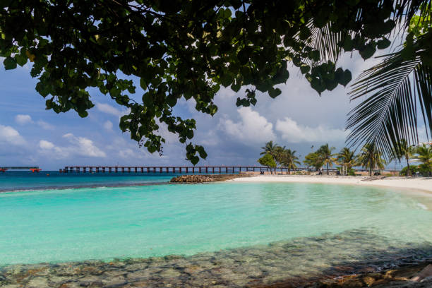 istock Artificial beach in Male, Maldive 1311958650