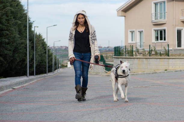istock Woman taking her dog out for a walk 1311959707