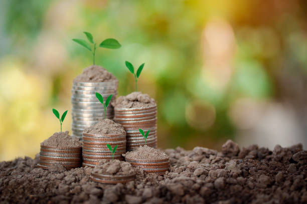 istock Coins stacking on soil and tree on top for concept saving money, energy, plan for life, education, home, school, income for your family on bokeh background. 1311960127