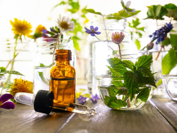 olio essenziale con bottiglia e contagocce. varietà di piante primaverili: dente di leone, margherite, ortica. essenza ed estratto di erbe. - herbal medicine alternative medicine homeopathic medicine laboratory foto e immagini stock