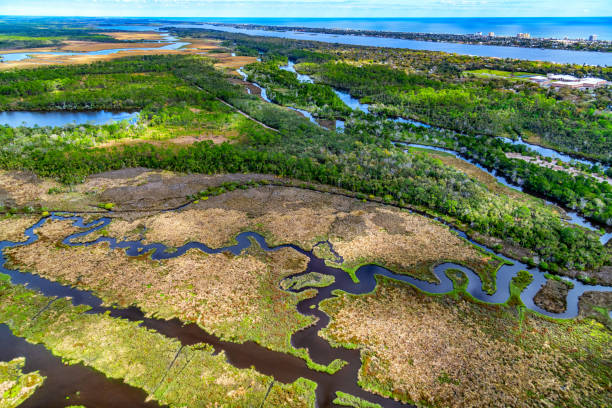 Florida Coastal Landscape A wilderness area in the town of Ormond Beach, Florida along the Atlantic coastline shot from an altitude of about 800 feet during a helicopter photo flight. florida beach above stock pictures, royalty-free photos & images