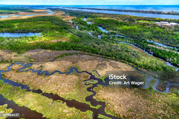 Florida Coastal Landscape Stock Photo - Download Image Now - Swamp, USA, Aerial View