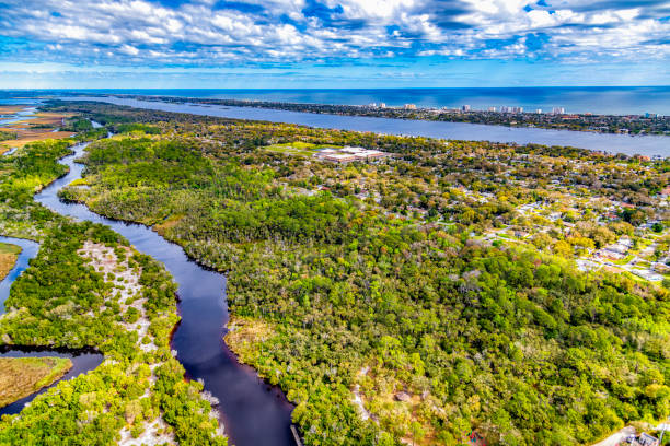 istock Florida Coastal Landscape 1311964453