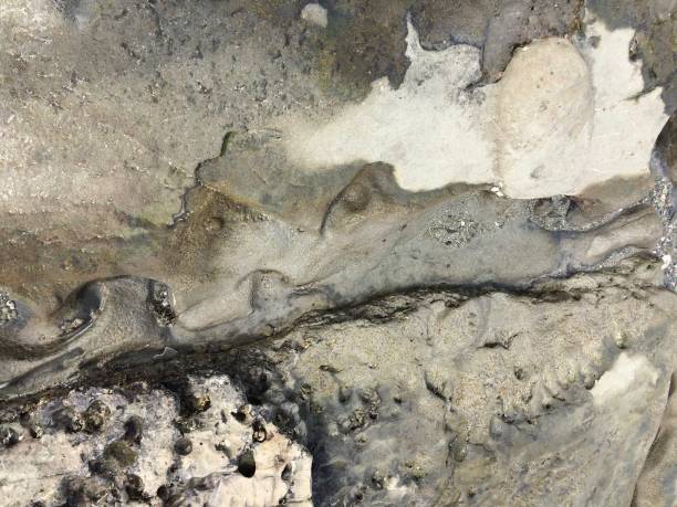 istock Rocky ground exposed as the ocean waves retreat 1311964587