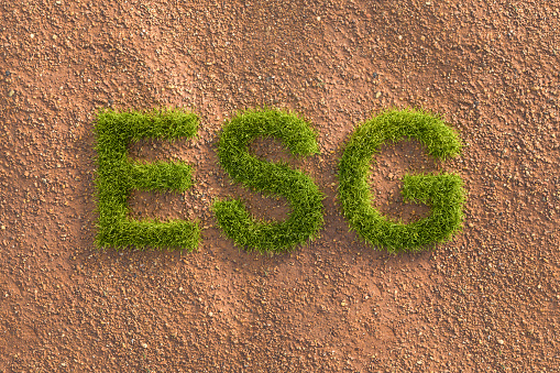 Green grass letters ESG in an arid landscape. Concept for  ESG (environment social governance) standards in investing.
