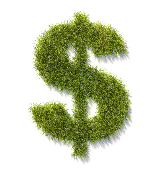 istock Green grass Dollar sign isolated on white with shadow. Concept for corporate responsibility and ESG (environment social governance) standards in investing. 1311965871