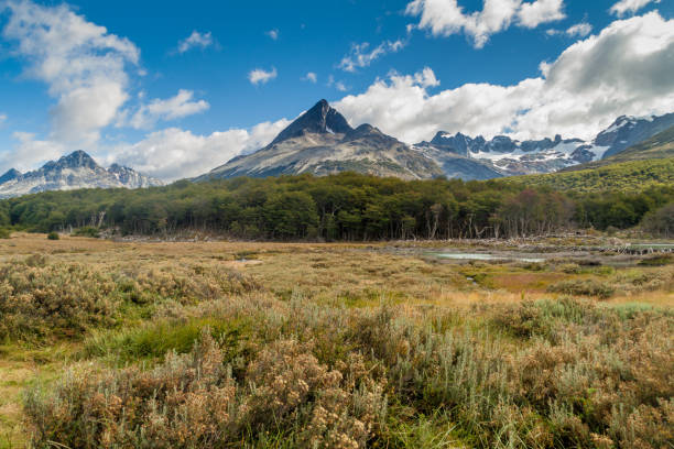 Mountains at Tierra del Fuego, Argentina Mountains at Tierra del Fuego, Argentina tierra del fuego province argentina stock pictures, royalty-free photos & images