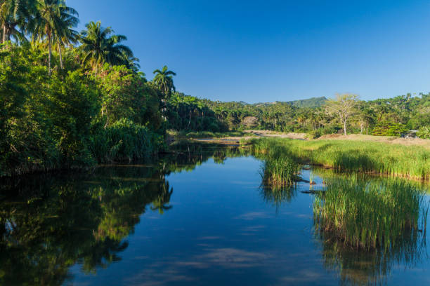 istock Macaganui river near Baracoa, Cu 1311967222