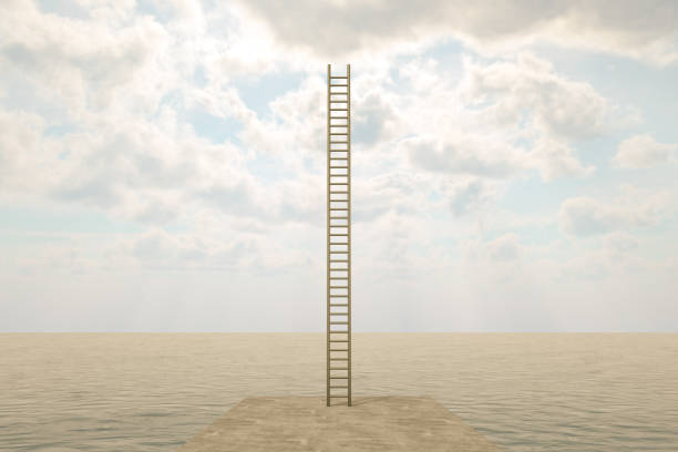 Free Stock Photo of A wooden ladder placed against a rock covered with ...