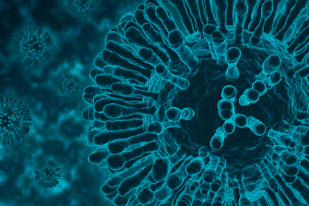 istock Coronavirus covid-19 under the microscope view of floating virus cells. Science epidemic infection concept. 3D rendered illustration. 1311971759