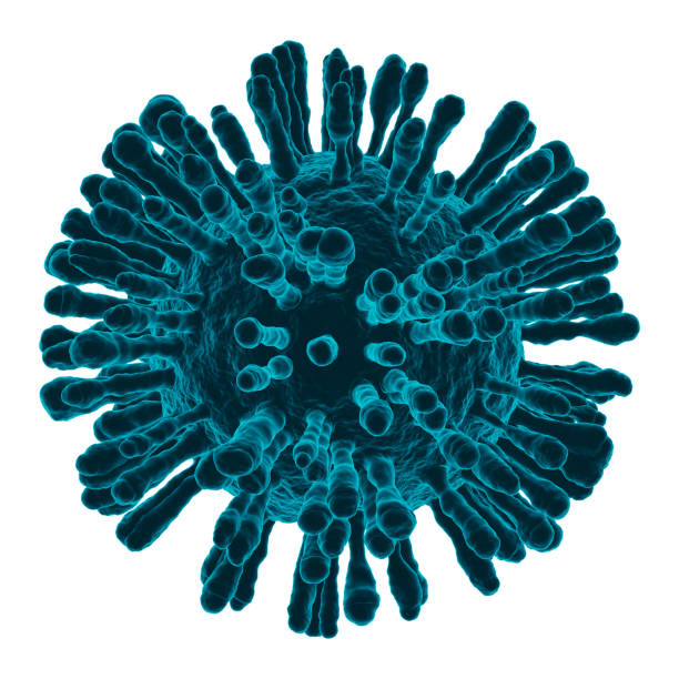 istock Coronavirus covid-19 under the microscope view of floating virus cells. Science epidemic infection concept. 3D rendered illustration. 1311971780
