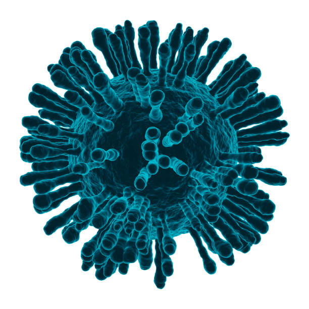 istock Coronavirus covid-19 under the microscope view of floating virus cells. Science epidemic infection concept. 3D rendered illustration. 1311971796