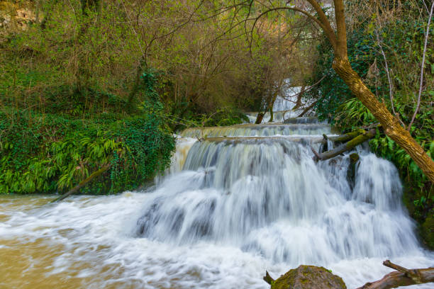 istock Photo of Krushuna waterfall 1311972199