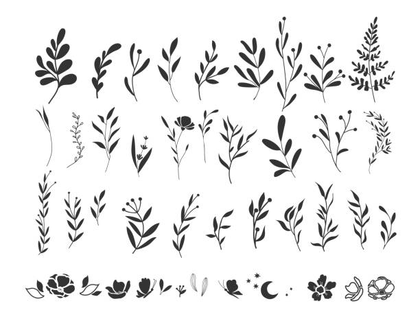 Vector graphic set of twigs and sprigs. Hand drawn silhouette plants Vector graphic set of twigs and sprigs. Hand drawn silhouette plants tree cutting silhouette stock illustrations