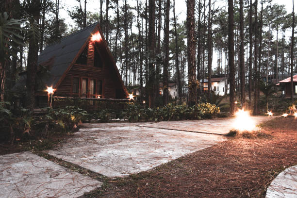 istock Wooden house in pine trees forest 1311973174