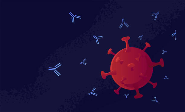 Human monoclonal antibody that blocks SARS-CoV infection. Virus neutralization therapy. vector art illustration